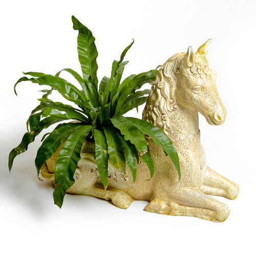 Fantasy Horse Planter