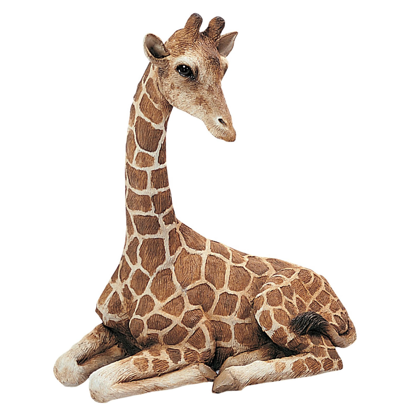 Giraffes