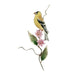 Goldfinch with Pink Aster Metal Wall Art