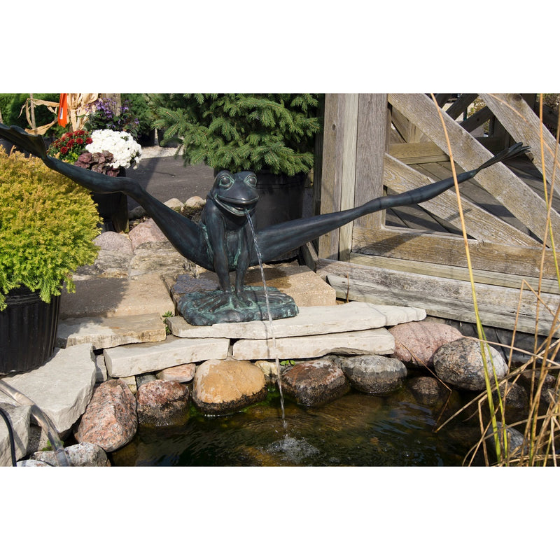Gymnastic Frog Fountain