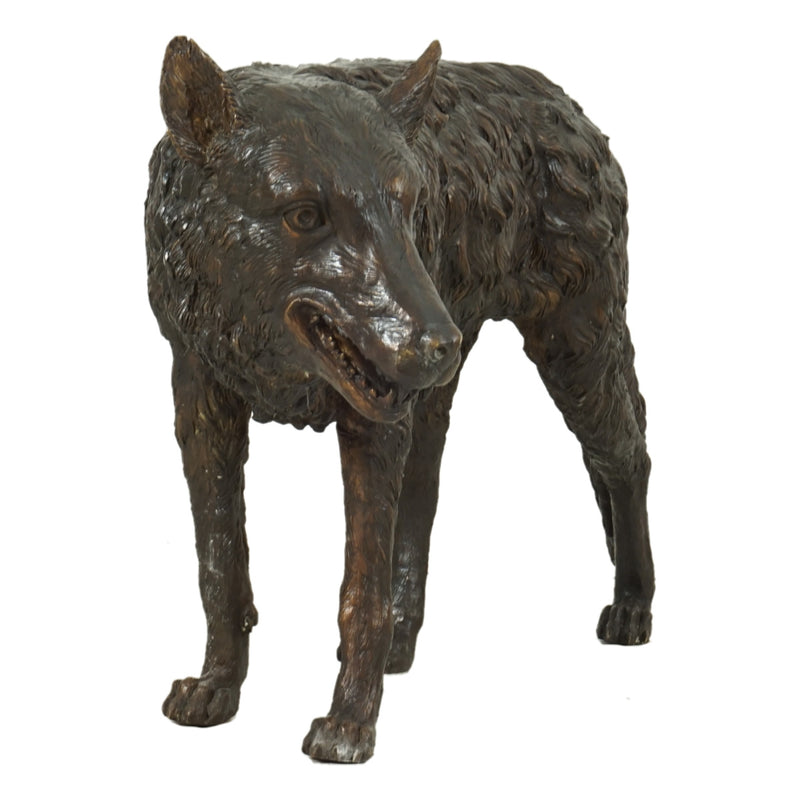 Standing Wolf Bronze Sculpture