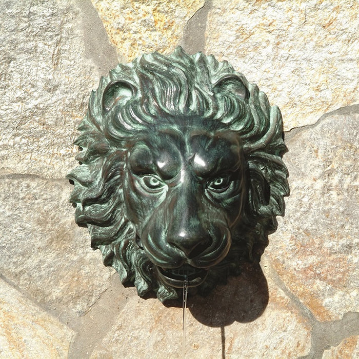 Lion Face Fountain Wall Spitter