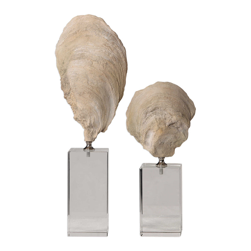 Oyster Shell Study Sculpture Set