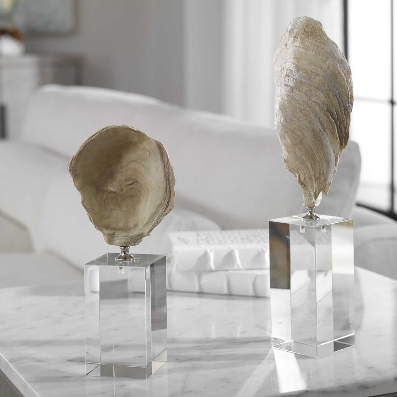 Oyster Shell Study Sculpture Set