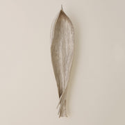Palm Seed Pod Art Decor