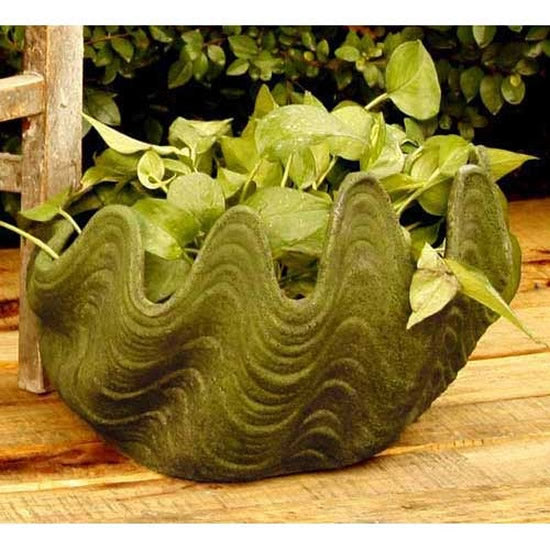 Shell Planter