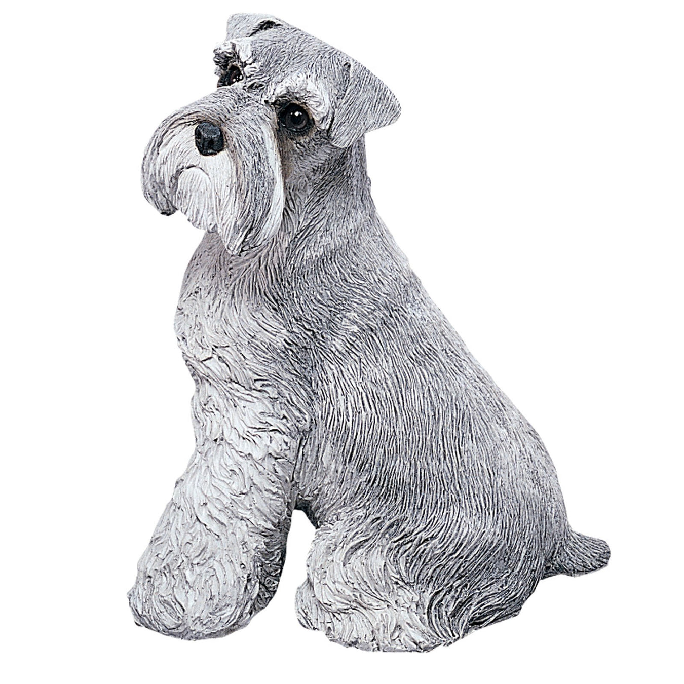 Schnauzer