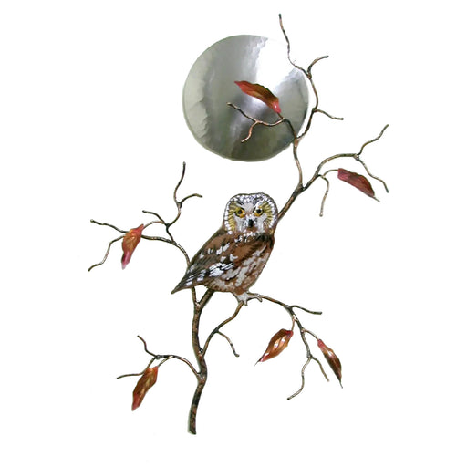 Saw Whet Owl With Moon Metal Wall Art