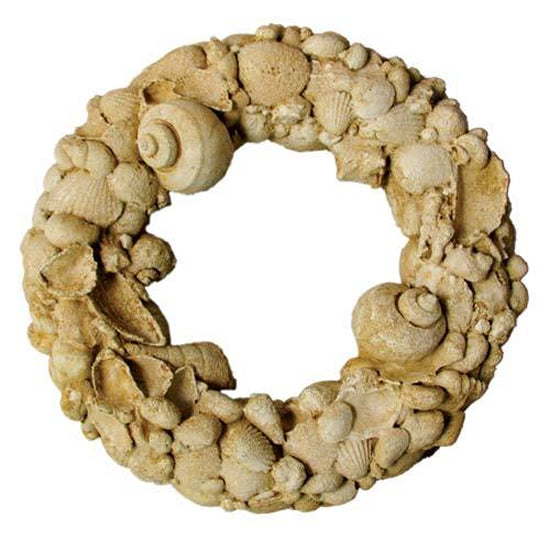 Shell Wreath