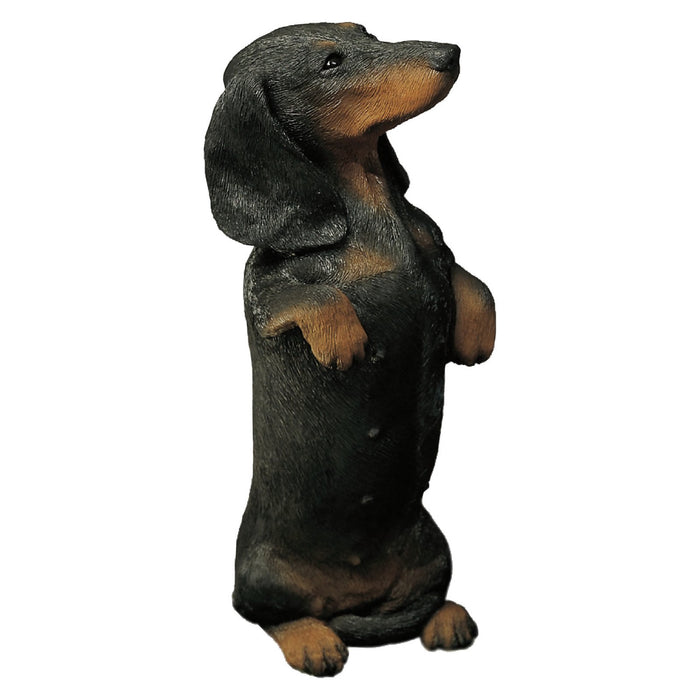 Smooth Dachshund Dog Statue- Black
