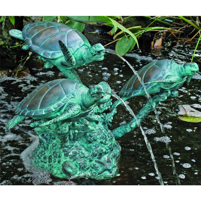 Turtles on Coral Fountain
