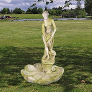 Venus Bath Fountain on Shell