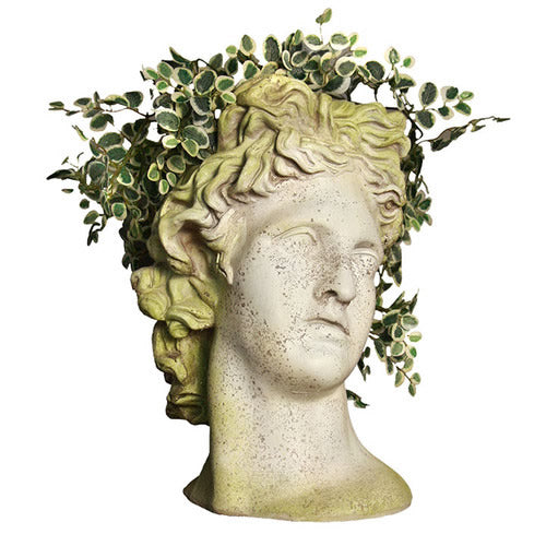 Apollo Bust Planter