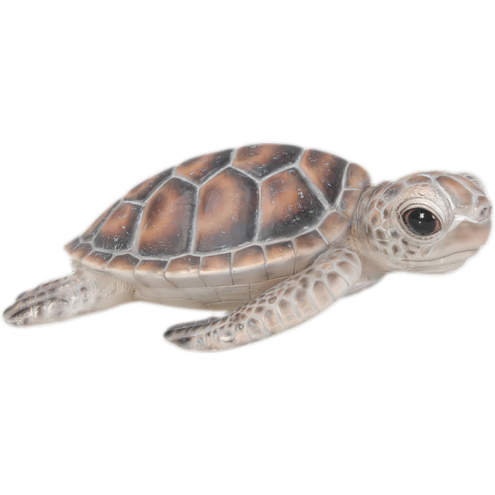 Baby Sea Turtle Statue- 6.5 inch