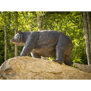 Bear School Mascot- Side View- For Sale