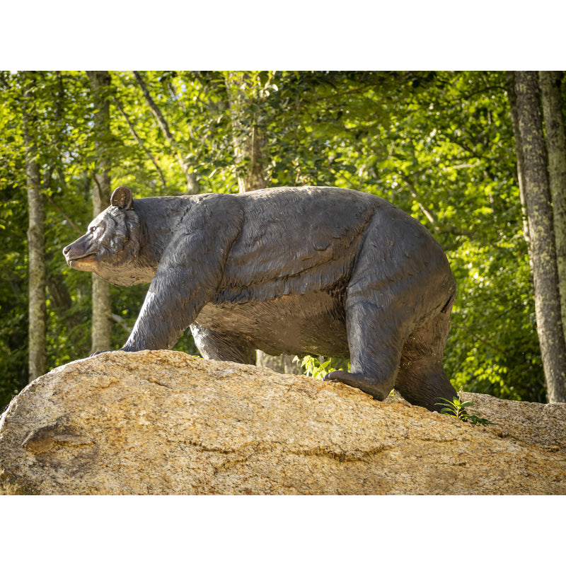 Bear School Mascot- Side View- For Sale