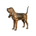 Bronze Bloodhound