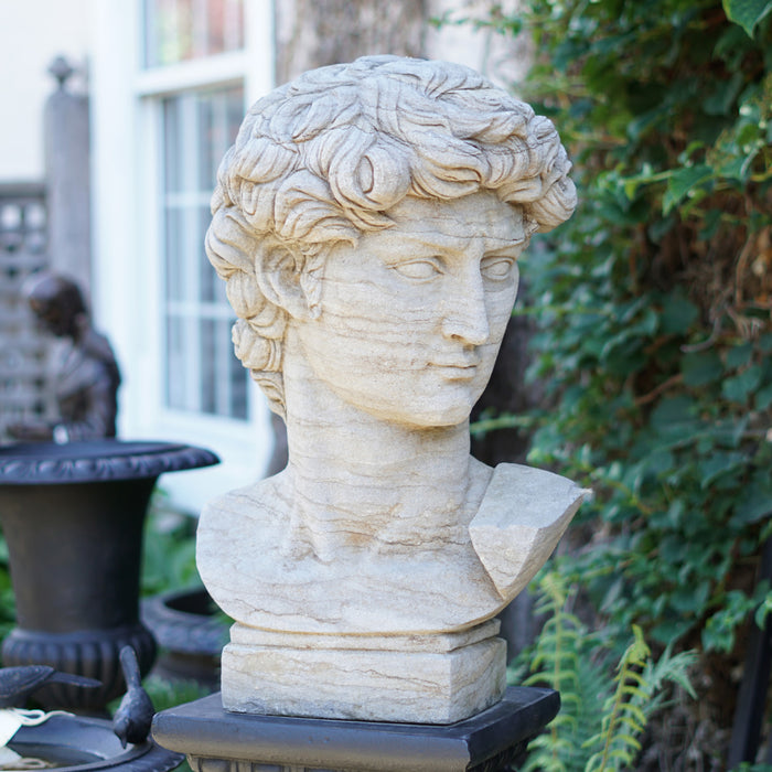 Bust of David-Hand Carved Stone