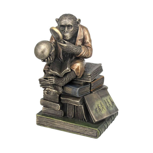 Chimpanzee Scholar Trinket Box