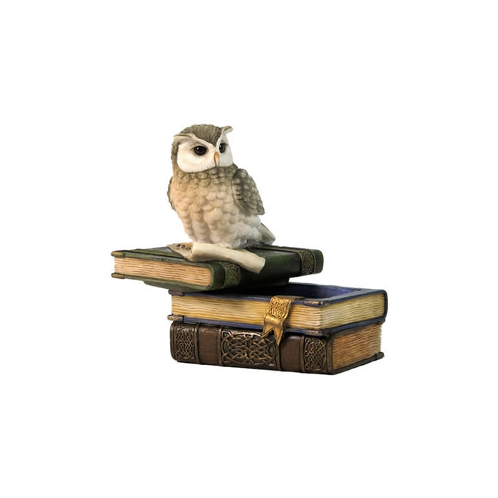 Collared Scops Owl Trinket Box, Painted