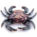 Crab Doorknocker by San Pacific International/SPI Home
