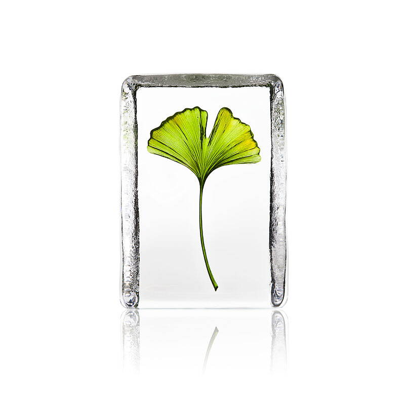 Crystal Ginkgo Statue by Mats Jonasson