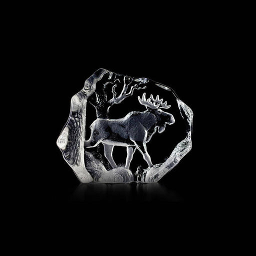 Crystal Moose In Woods Statue by Mats Jonasson