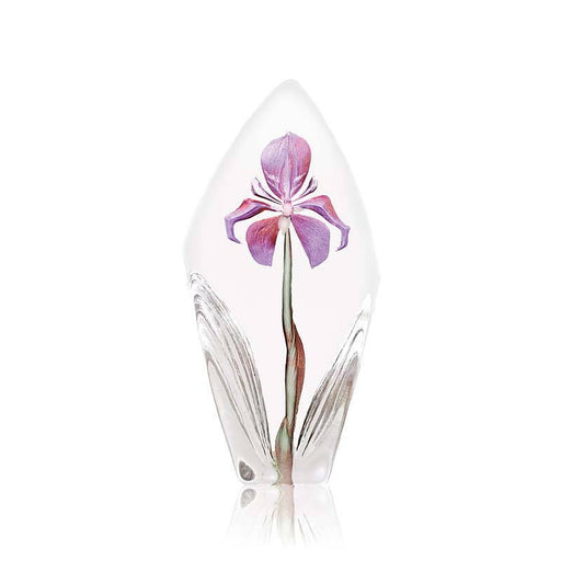 Crystal Purple Acarena Flower Figurine by Mats Jonasson