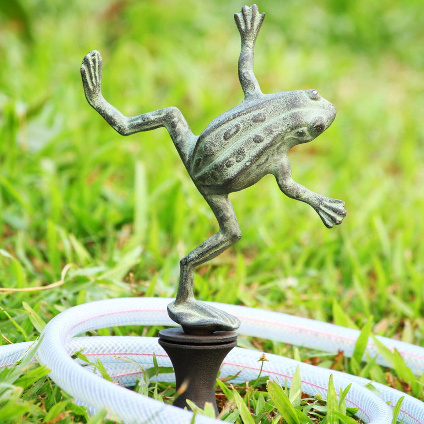 Dancing Frog Garden Hose Guard by San Pacific International/SPI Home