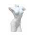 Female Nude Torso IV Sculpture- Matte White