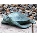 Garden Turtle Statue by San Pacific International/SPI Home