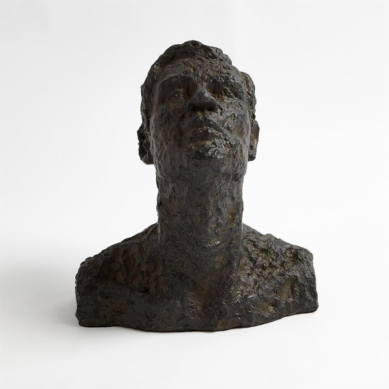 Gazing Man Iron Bust 2