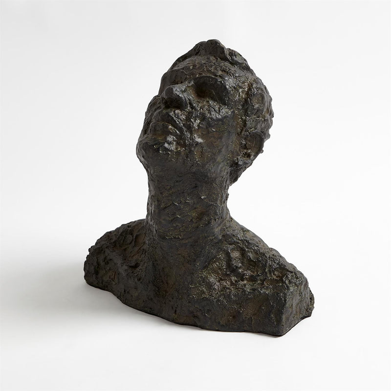 Gazing Man Iron Bust 4
