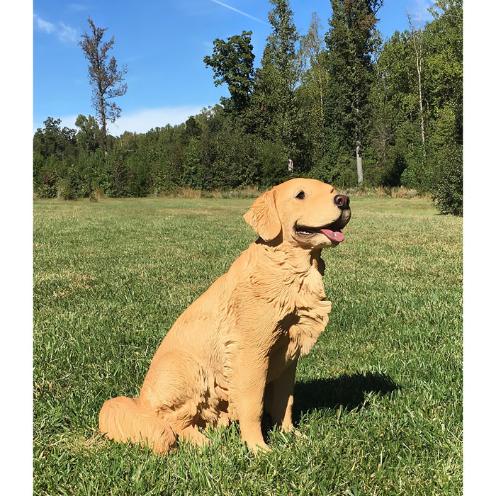 Golden Retriever Sitting Statue - Angled Front View In Grass