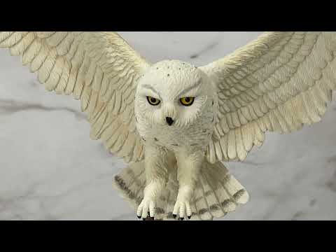 Flying Snowy Owl Sculpture Video
