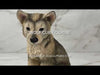 Wolf Cub Figurine Video