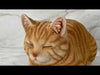 Dreaming Ginger Cat Statue 13.5"L Youtube Video