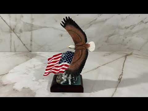 Bald Eagle and Flag Video
