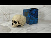 skull statue for sale: video