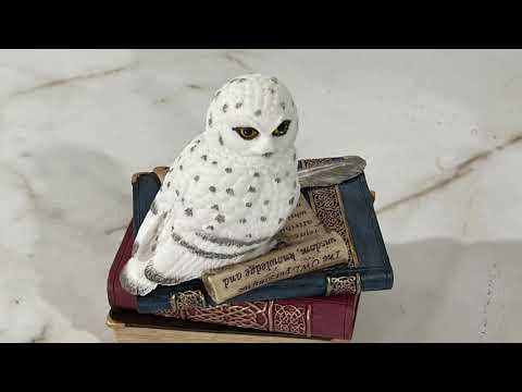 Snow Owl On Books Trinket Box- Painted Youtube Video