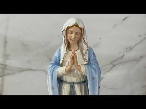 Blessed Virgin Mary In Blue Statue Video
