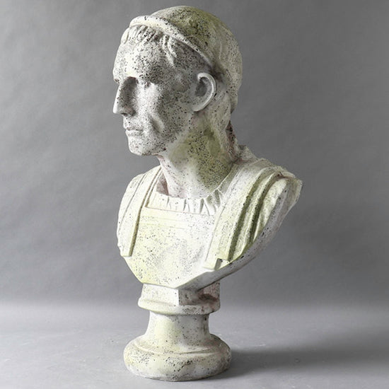 Julius Caesar Bust Angled View