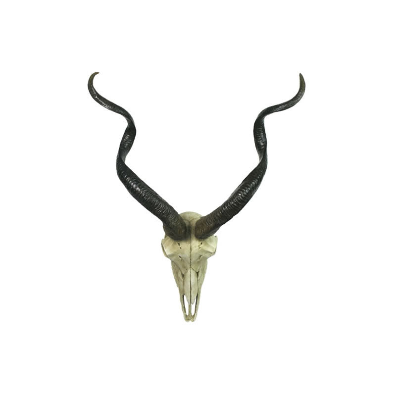 Kudu Skull Wall Plaque