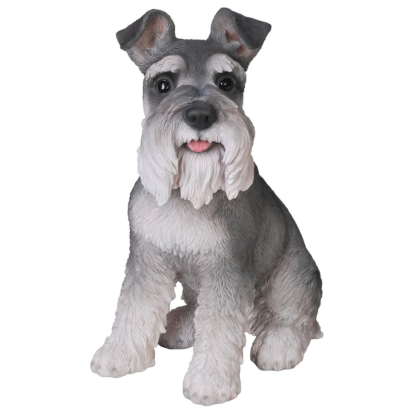 Schnauzer