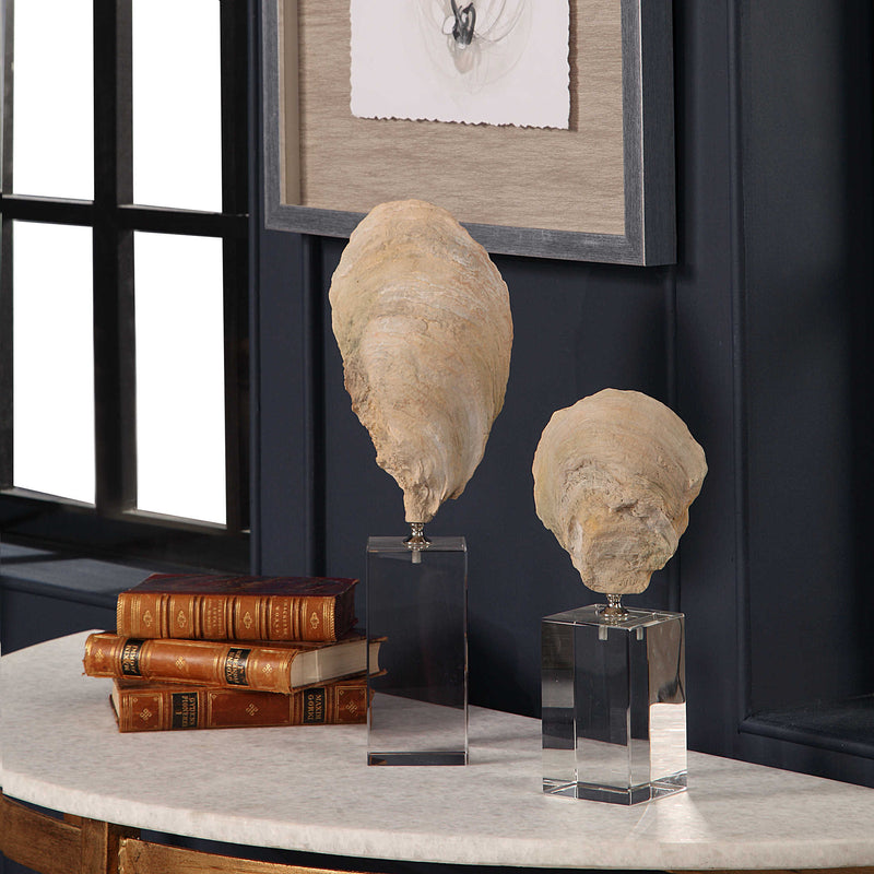 Oyster Shell Study Sculpture Set