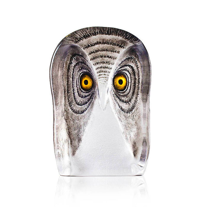 Modern II Crystal Owl-Large by Mats Jonasson