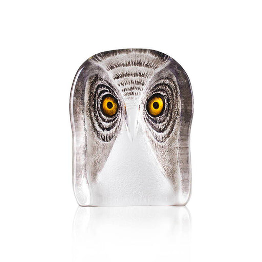 Modern II Crystal Owl-Medium by Mats Jonasson