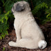 Outdoor Pug Dog Statue Rear View