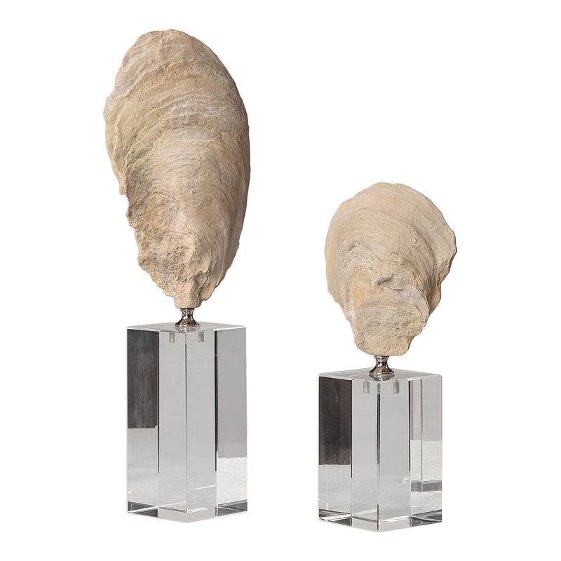 Oyster Shell Study Sculpture Set