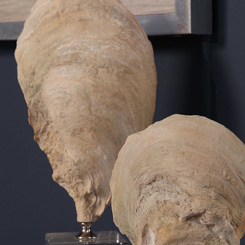 Oyster Shell Study Sculpture Set